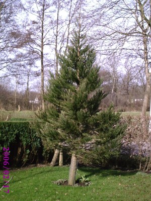 BM gekauft 2004.jpg