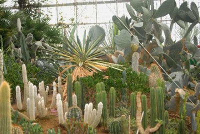 Emsflower 025yy.jpg