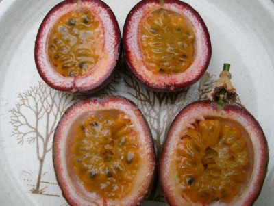 maracujas.jpg
