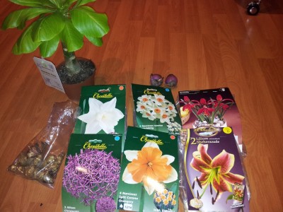 2012-01-22 21.32.02.jpg