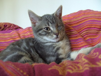 Medi 20091031.jpg