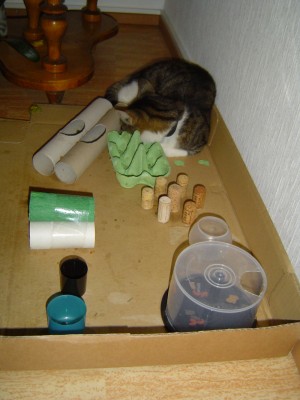 Tiffy ganz müde.jpg