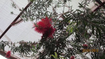 IMG_0808.JPG