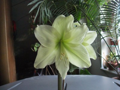 DSCF1458.JPG