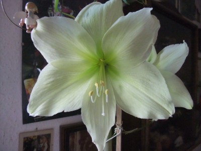 DSCF1453.JPG