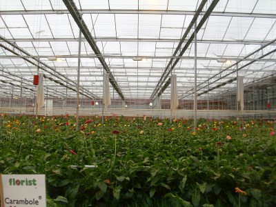 DSCI1390.JPG