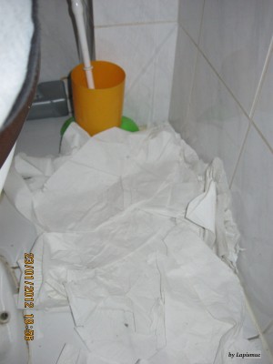 IMG_7645.JPG