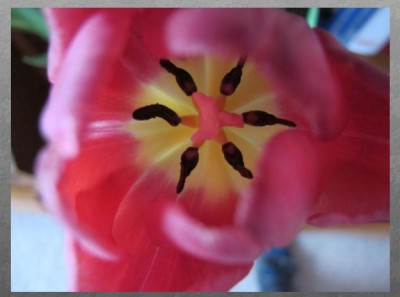 capture1.jpg