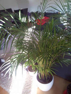 20120126_105004.jpg
