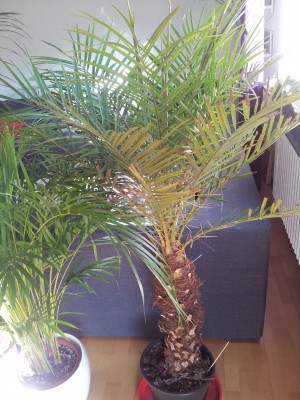 20120126_104953.jpg