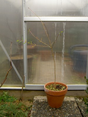 PICT1232.JPG