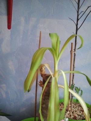 2012-01-29 15.56.11.jpg
