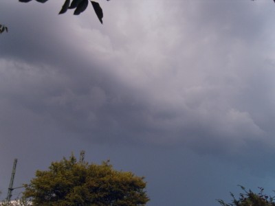 S1030034.JPG