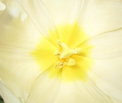 Bild green24 3 250.jpg