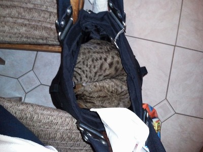 Foto0323.jpg