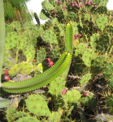 Bild green24 3 278.jpg