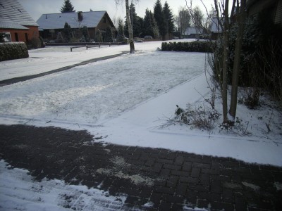 RIMG0093.JPG