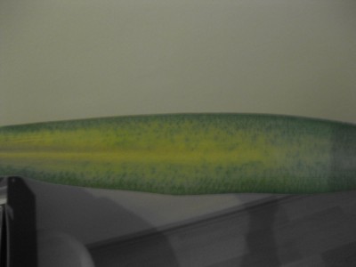 IMG_1295.JPG