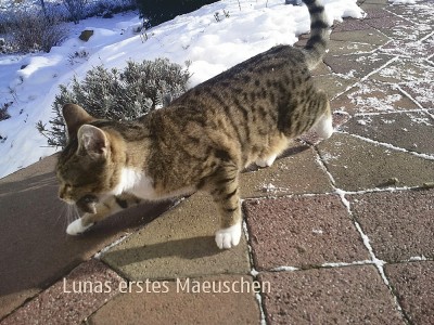 Foto0328E001Luna.jpg