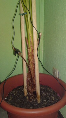 05022012742.JPG