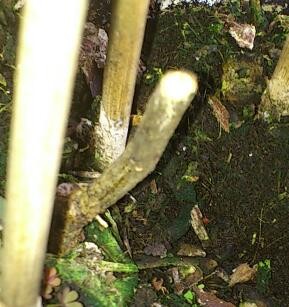 DSC_0147-7.jpg