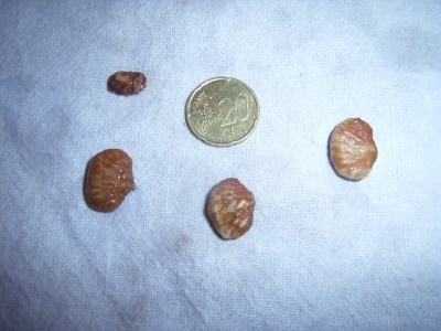 RIMG0148.JPG