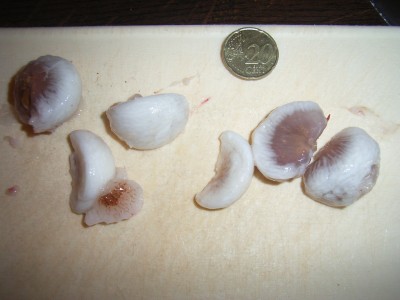 RIMG0147.JPG