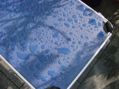 Regenliege mit Wassertropfen.jpg