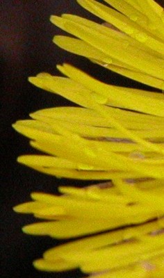 raetsel-12-02-08.jpg
