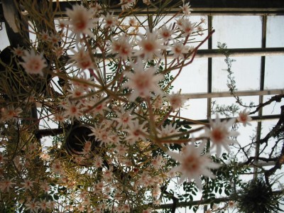 DSCF0370-2.jpg