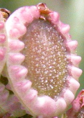 12-02-08-raetsel1.JPG