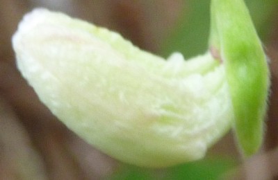 20120104 030 - Kopie.JPG