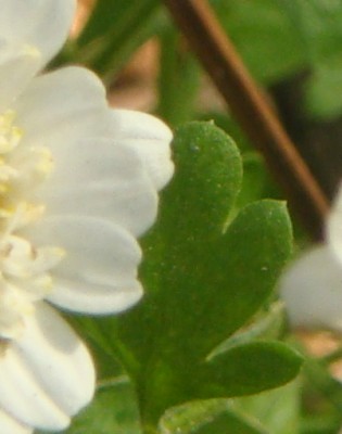rätsel februar 13.jpg