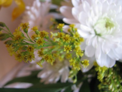Strauß gelbe Blüten.jpg