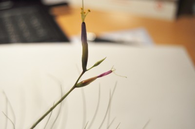 02-02 (2000x1328).jpg