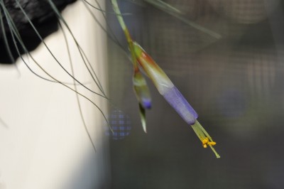 01-28 (1) (2000x1328).jpg