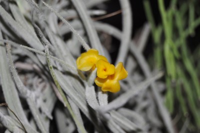 01-19 (2000x1328).jpg