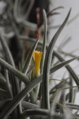 01-11 (2) (1328x2000).jpg