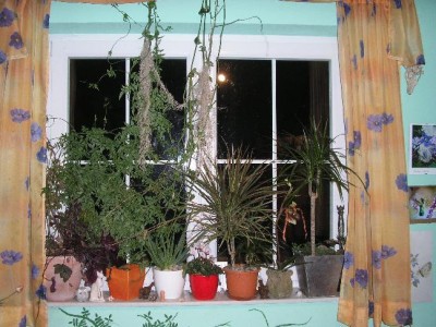 Großes Fenster.jpg