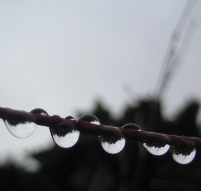 Bild green24 3 376.jpg