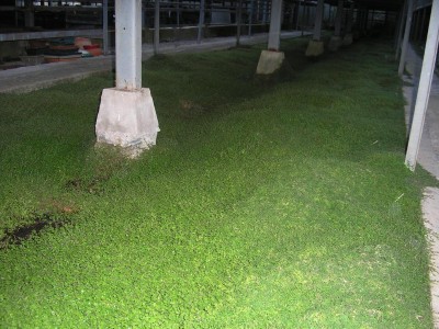 P1012439.JPG