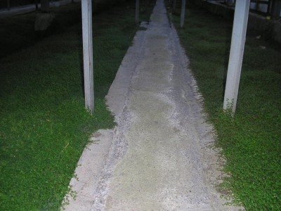 P1012436.JPG