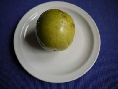 P1070526klein.jpg