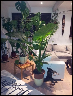 2012-02-14_18.58.27.jpg