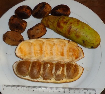 67. Unbekannter Ranker, DSC01852.JPG