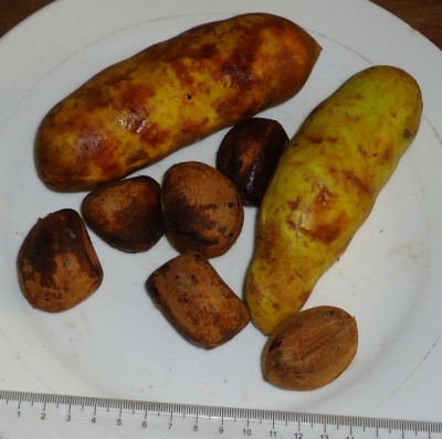 67. Unbekannter Ranker, DSC01851.JPG