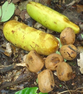 67. Unbekannter Ranker, DSC01831.JPG