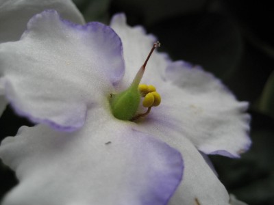 IMG_1597.JPG