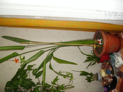 f123fa91.xl.jpg
