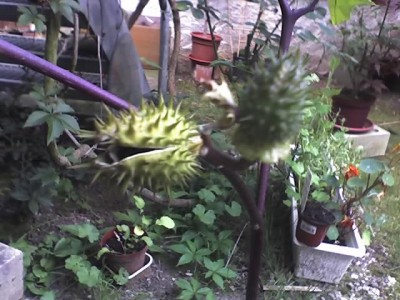 25-08-07_1643.jpg